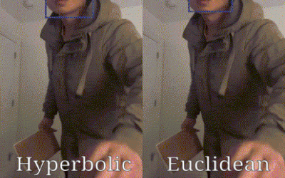 Hyperbolic object detection animation